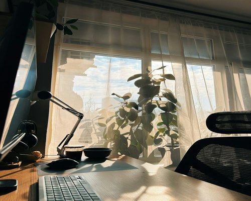 Natural sunlight filtering through curtains in a cozy home office